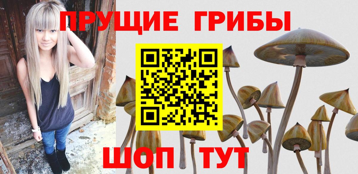 Галлюциногенные грибы ЛСД Сызрань